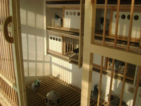 pohľad do vdovského oddelenia